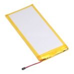 HX40 Battery